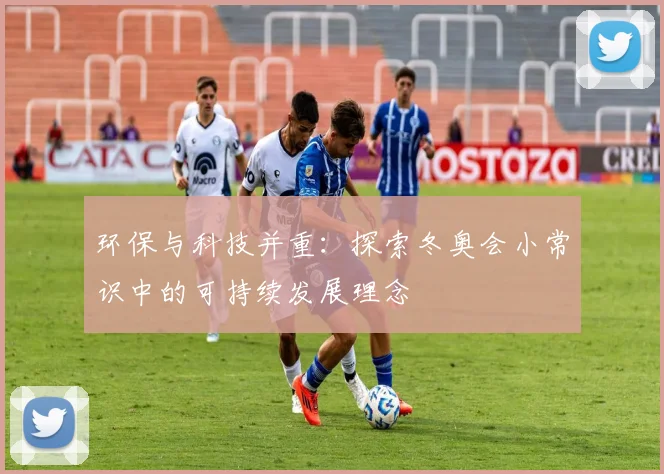 环保与科技并重：探索冬奥会小常识中的可持续发展理念