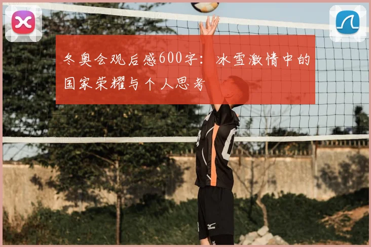 冬奥会观后感600字：冰雪激情中的国家荣耀与个人思考
