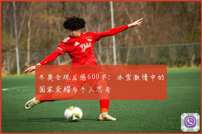冬奥会观后感600字：冰雪激情中的国家荣耀与个人思考